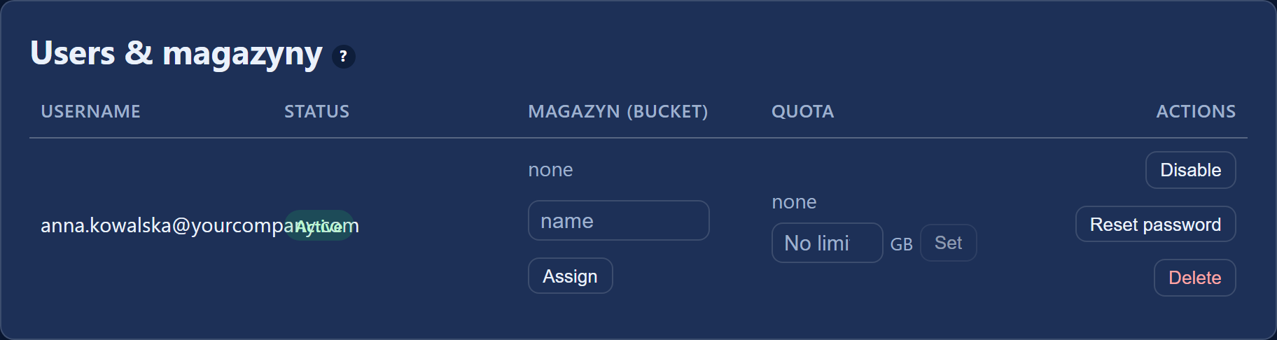The "Users & magazyny" card: the list of accounts in the organisation with their assigned magazyn and quota