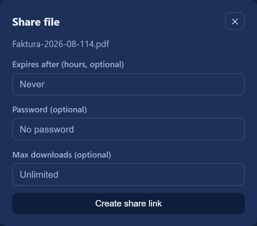 The "Share file" window: the "Expires after" field in hours, "Password", "Max downloads" and the "Create share link" button