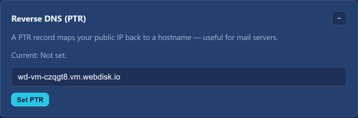 The "Reverse DNS (PTR)" section with the name field and the set button