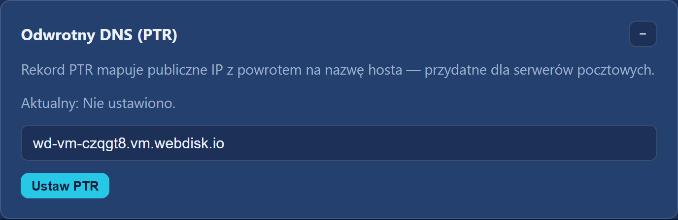 Sekcja „Odwrotny DNS (PTR)” z polem nazwy i przyciskiem ustawienia